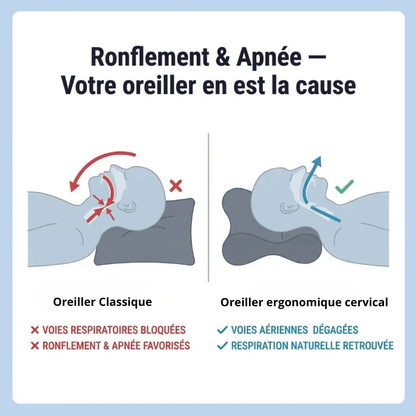 Oreiller ergonomique cervical