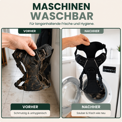 Harnais anti-traction chien