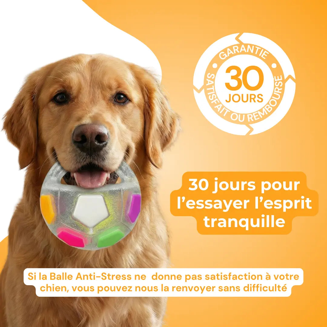 Jouet Résistant pour Chiens