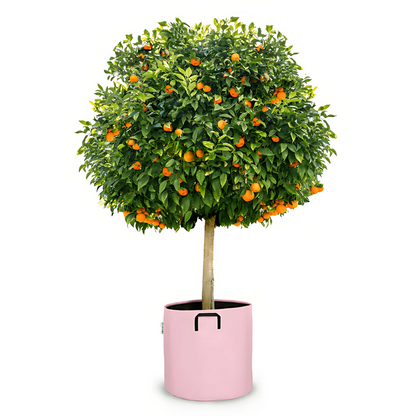 Pot auto-arrosant évolutif