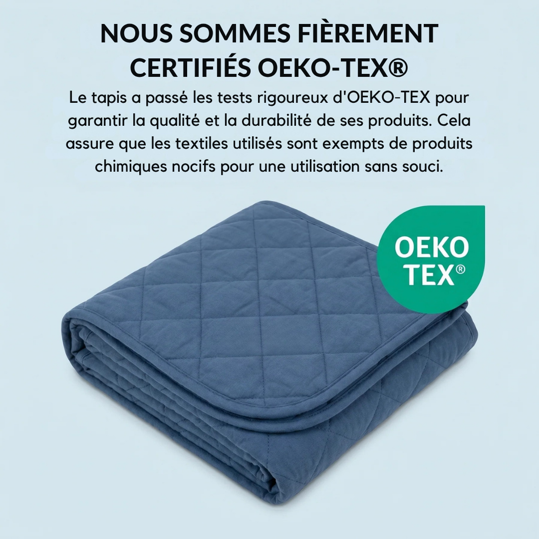 Tapis Rafraîchissant Chien Anti-Chaleur