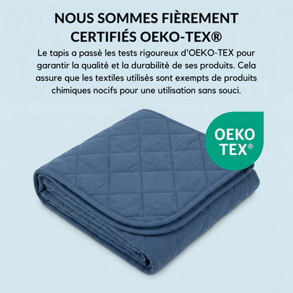 Tapis Rafraîchissant Chien Anti-Chaleur