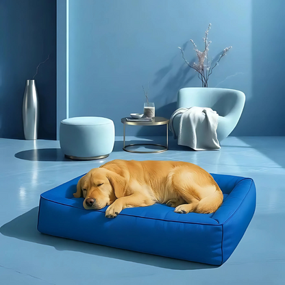 Lit Orthopédique pour Chien