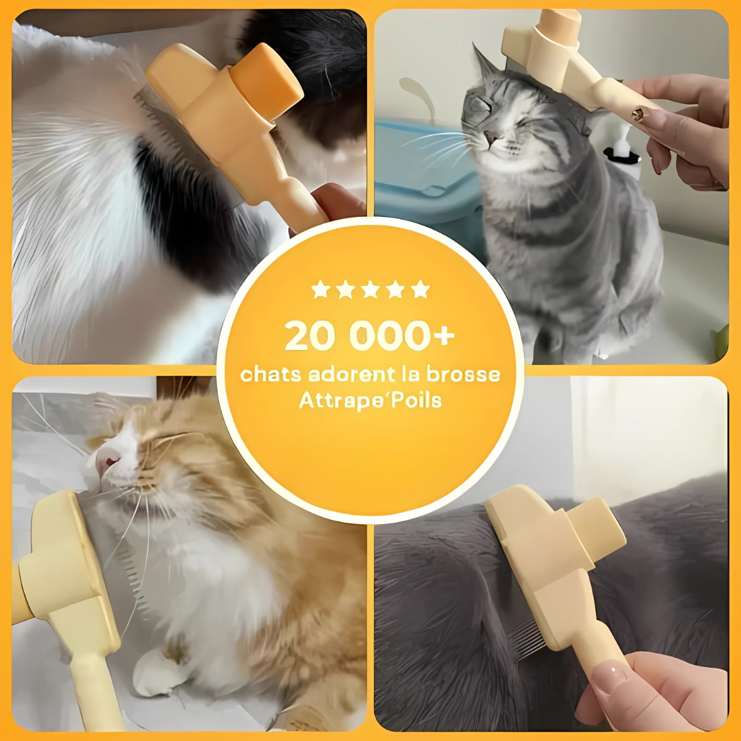 Brosse anti-poils pour animaux