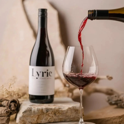 Tire-bouchon à pression d’air