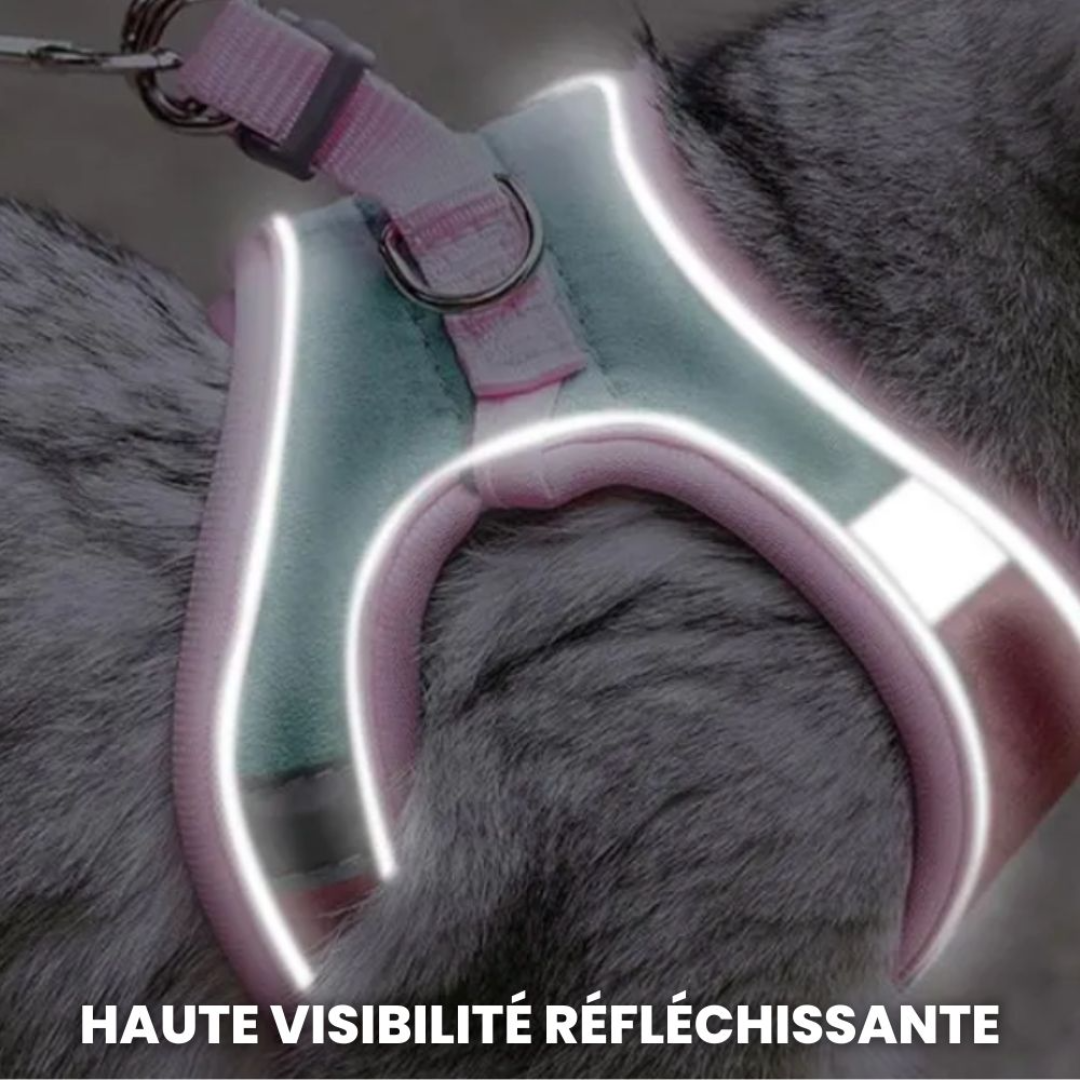 Geschirr für Katzen