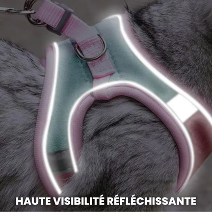 Geschirr für Katzen