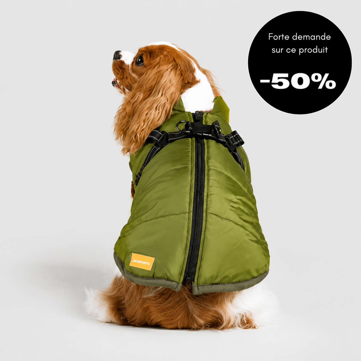 Veste d’hiver 2 en 1 pour chien
