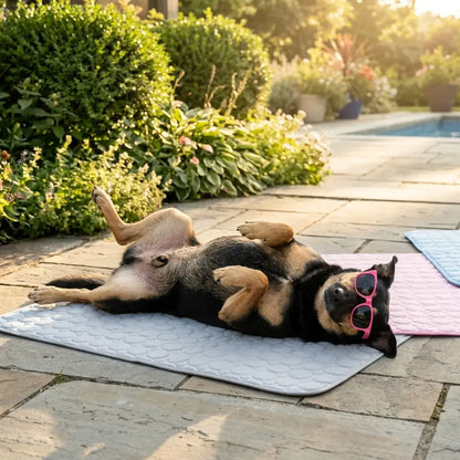 Tapis rafraîchissant chien chat anti chaleur confortable