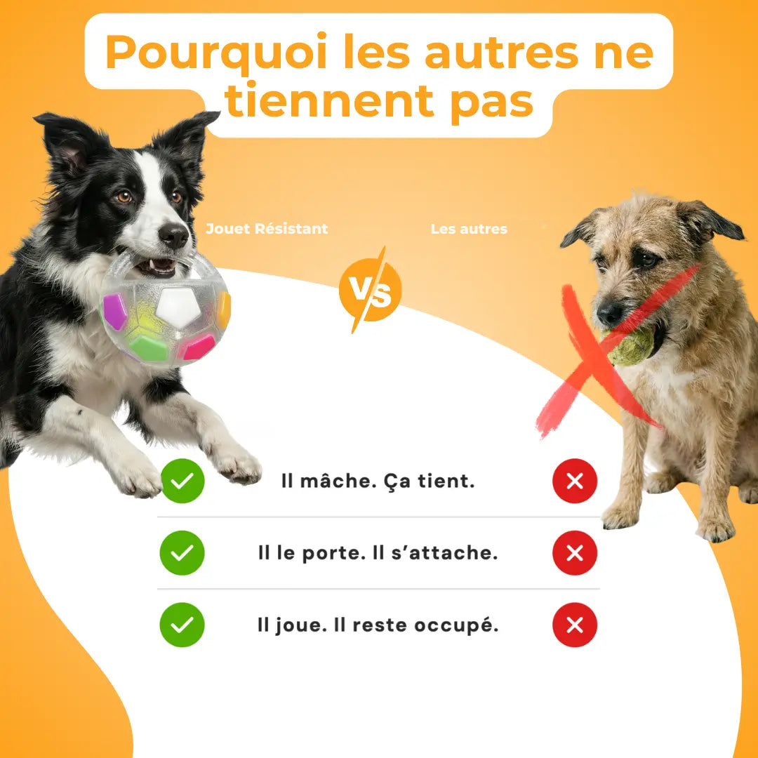 Jouet Résistant pour Chiens