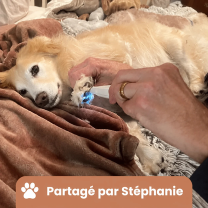 Tondeuse silencieuse pour soin des pattes