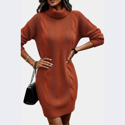 Strickkleid mit Rollkragen