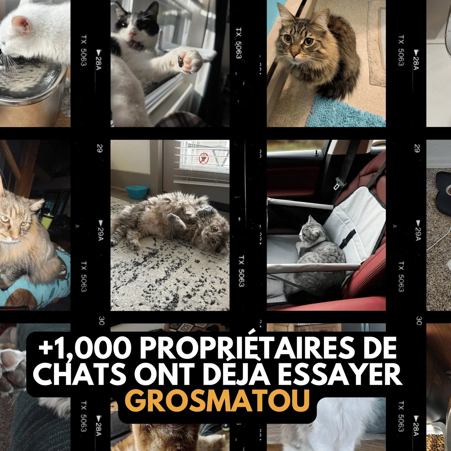 Siège de sécurité pour chat