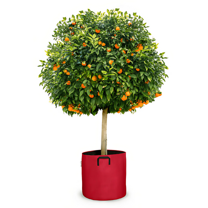 Pot auto-arrosant évolutif