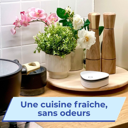 Éliminateur d'odeurs portable