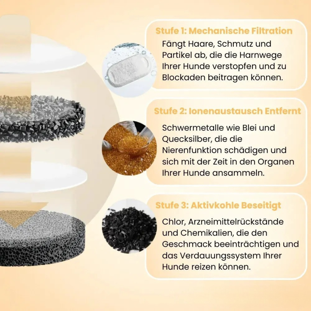 Trinkbrunnen für Hunde aus Edelstahl