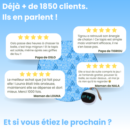 Tapis de Jeu Interactif pour Chat