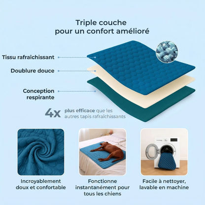 Tapis Rafraîchissant Chien Anti-Chaleur