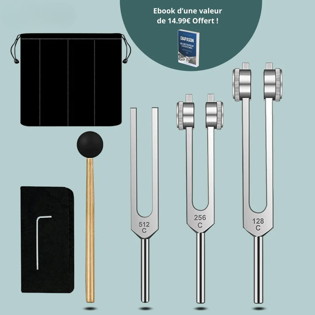 Diapason Thérapeutique Vibratoire Pour Soulagement Naturel