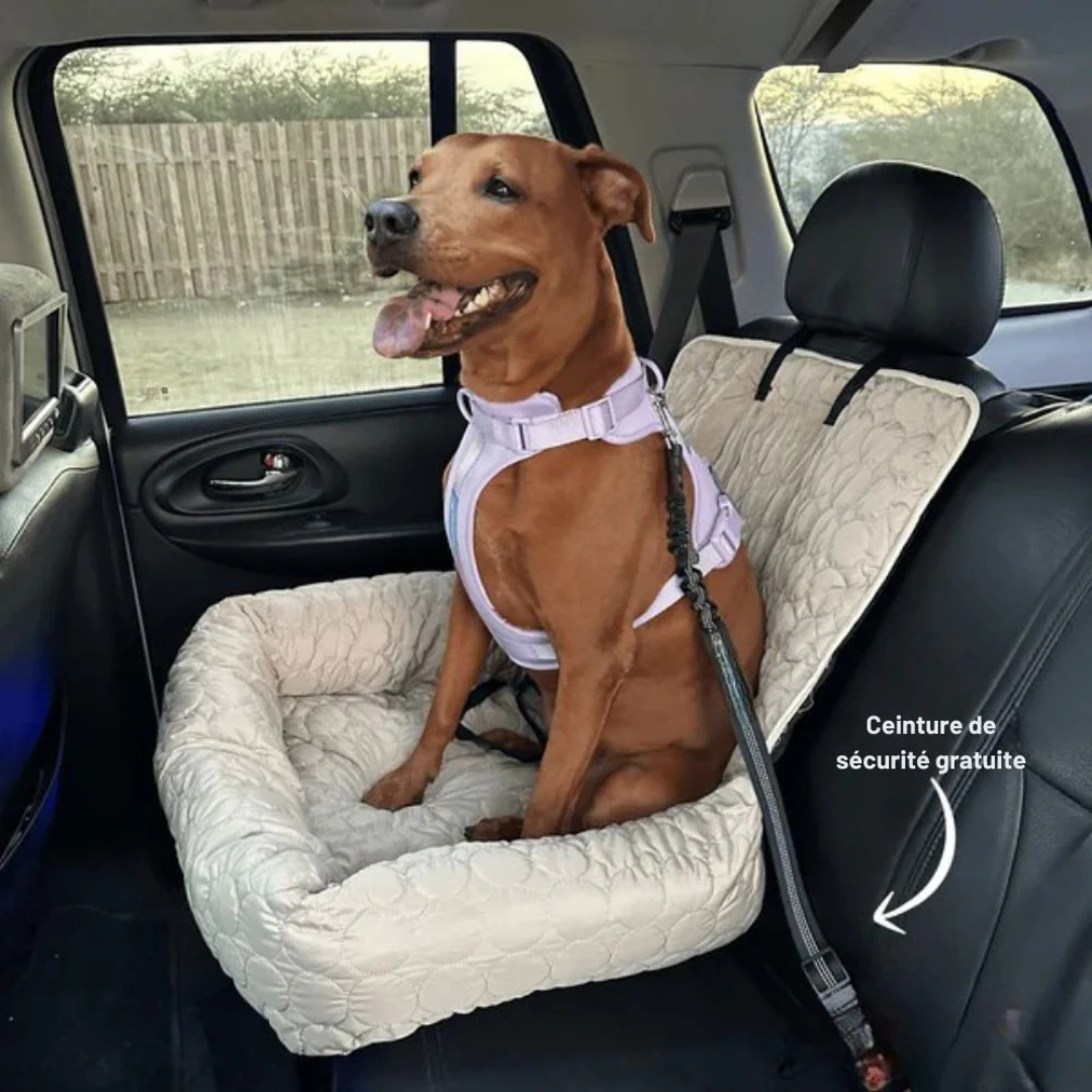 Kühlender Autositz für Hunde
