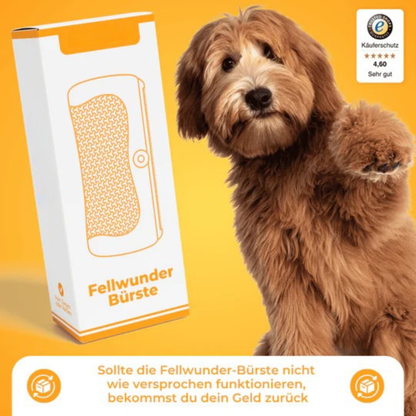 Brosse de toilettage pour chien