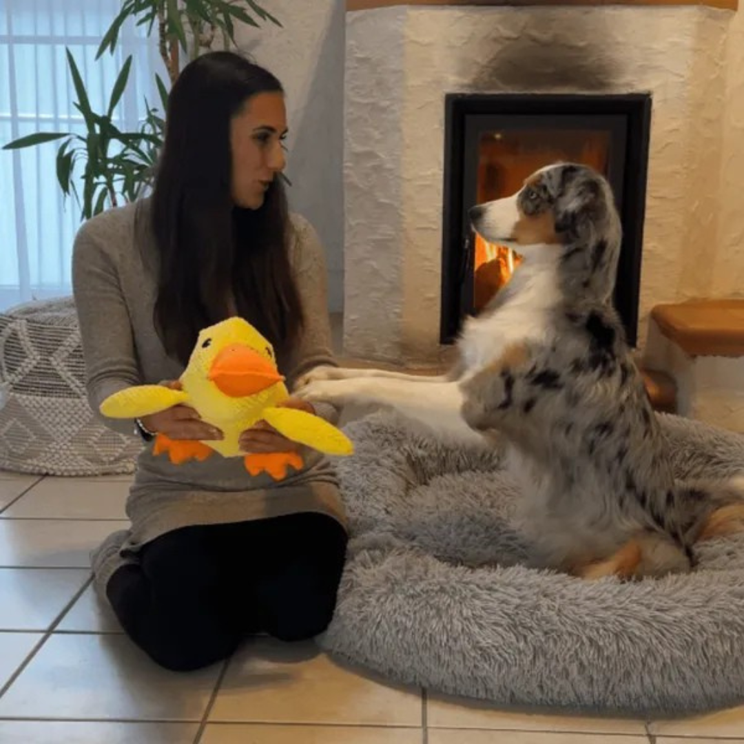Jouet en Peluche Canard pour Chien