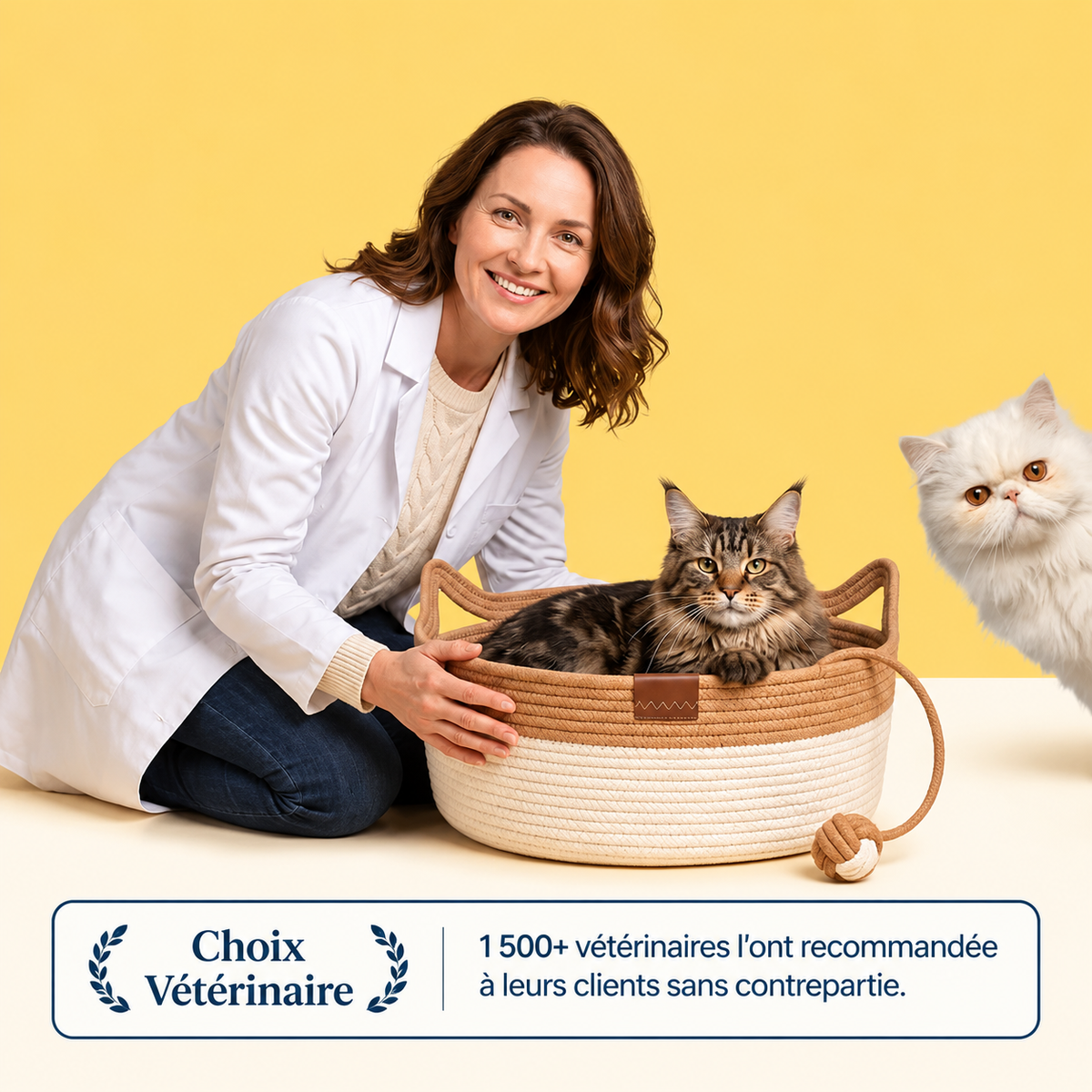 Geflochtenes Katzenkörbchen aus Naturfasern