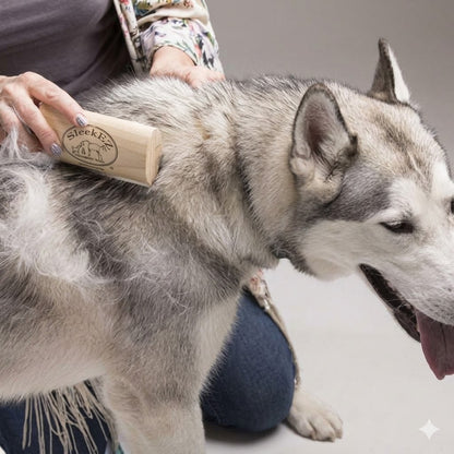 Brosse pour animaux