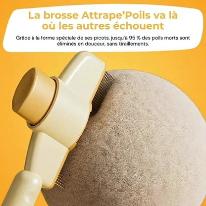 Brosse anti-poils pour animaux