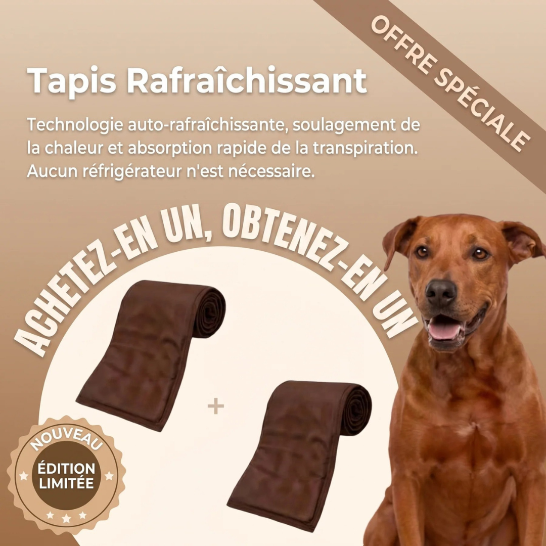 Tapis Rafraîchissant Chien Anti-Chaleur