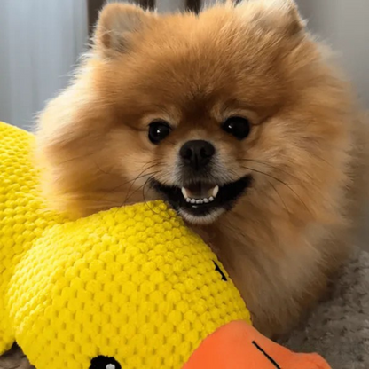 Jouet en Peluche Canard pour Chien