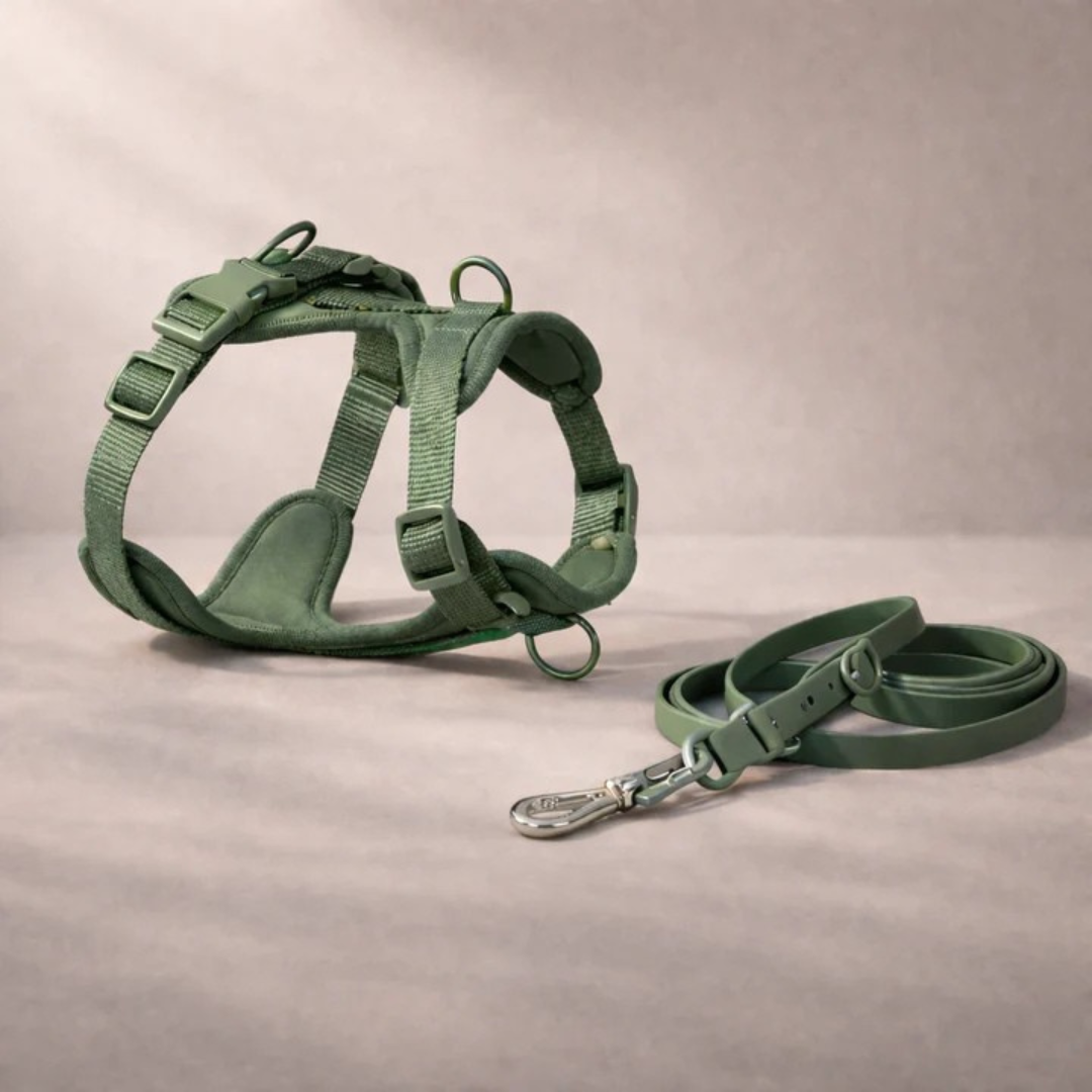 Harnais anti-traction avec laisse pour chien