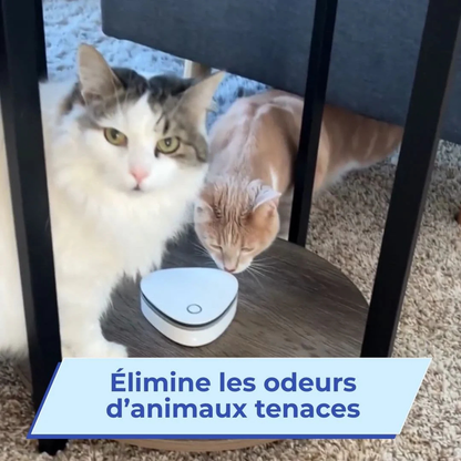 Éliminateur d'odeurs portable