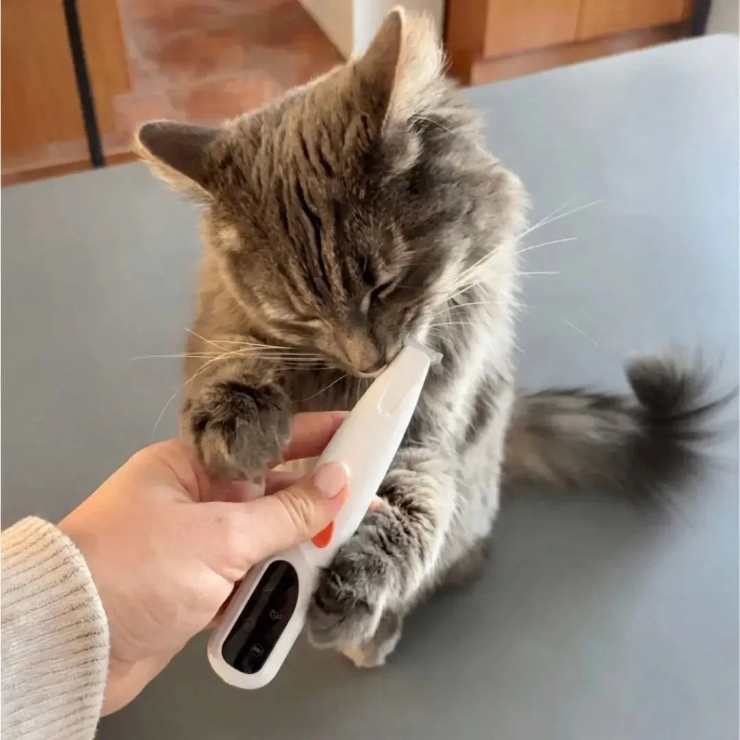 Präzisionsschermaschine für Katzen
