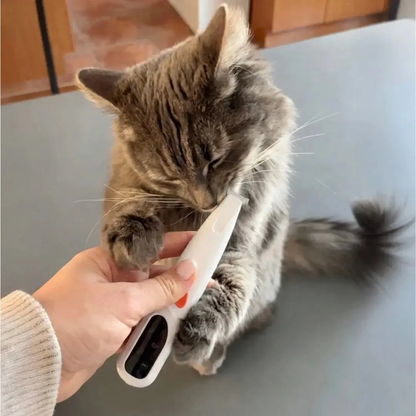 Präzisionsschermaschine für Katzen