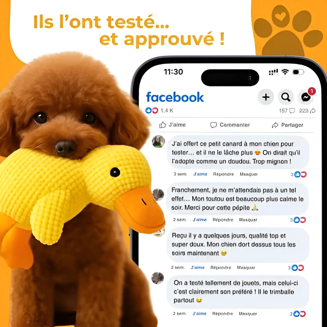 Jouet en peluche apaisant pour chien