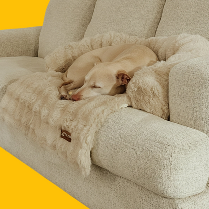 Canapé-lit doux et confortable pour chien