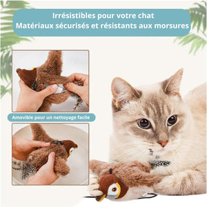 Oiseau Zen – Stimulation pour votre compagnon