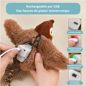 Oiseau Zen – Stimulation pour votre compagnon