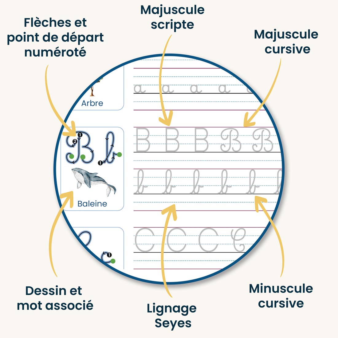 Caaly® | Cahiers Magiques Cursifs