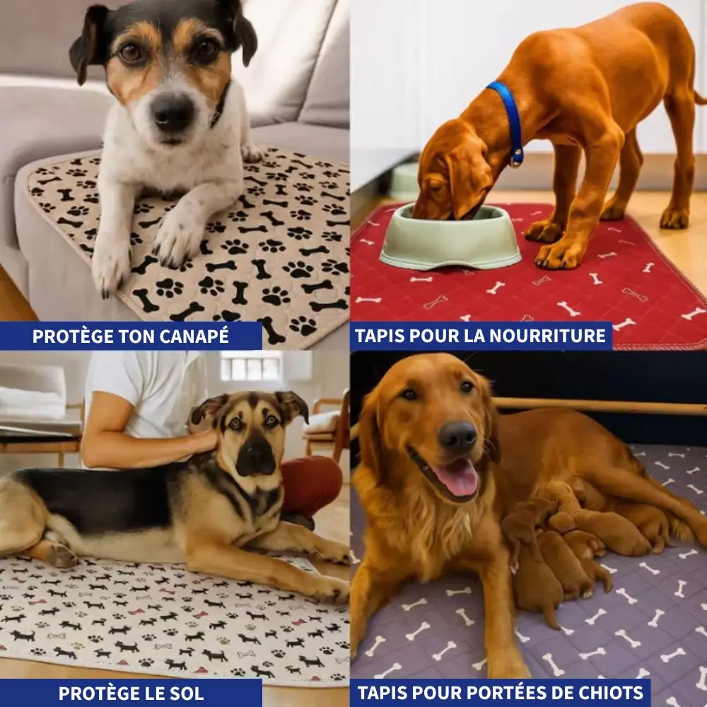 Absorbierende Hygienematte für Hunde