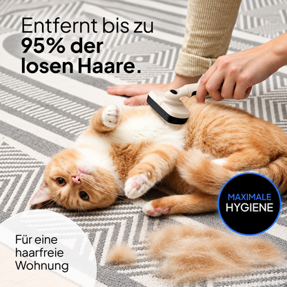 2-in-1-Bürstenset für Katzen