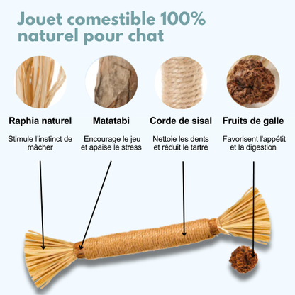 Jouet à mâcher pour chats en bâton de matatabi naturel