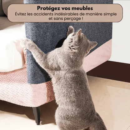 Tapis Adhésif Protecteur pour Griffes de Chat