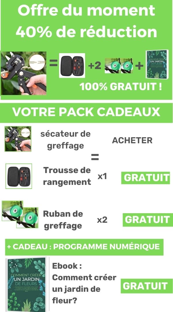 EASEGRAFT – Veredelungs-Gartenschere