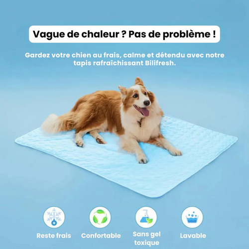 Matelas auto-refroidissant pour chien