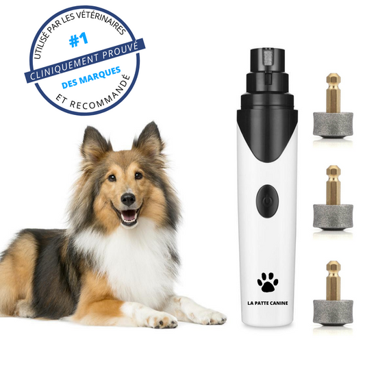 Lime à ongles électrique pour chiens