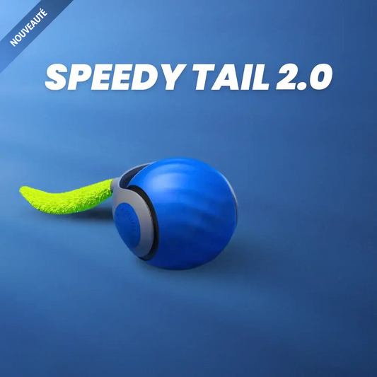 Speedy Tail 2.0