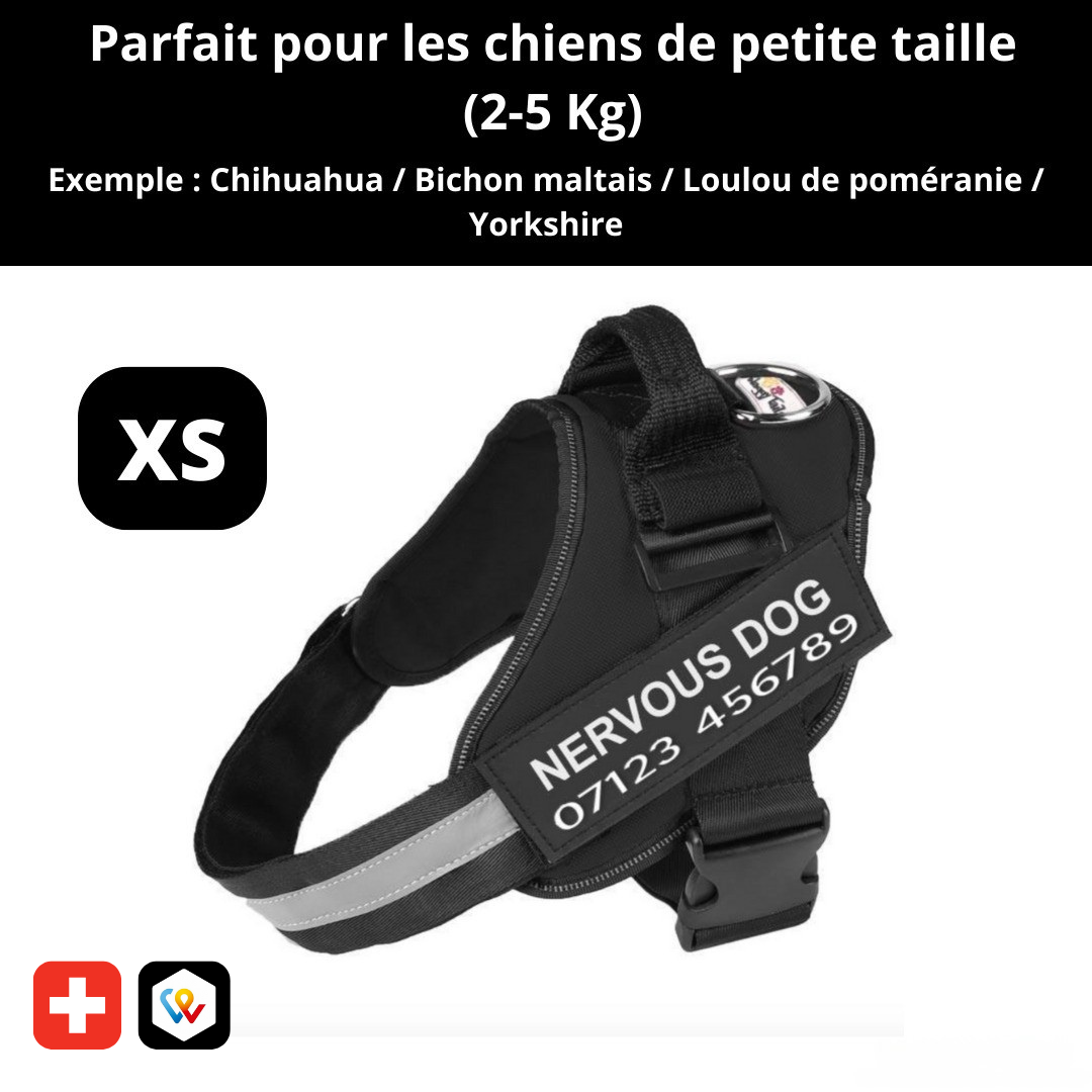 Harnais personnalisable anti-traction pour petit chien