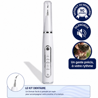 Détartreur ultrasonique pour chien